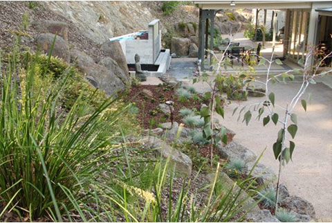 josie court garden