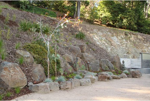 josie court garden