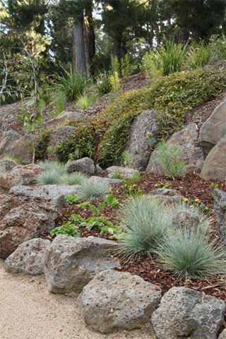 josie court garden