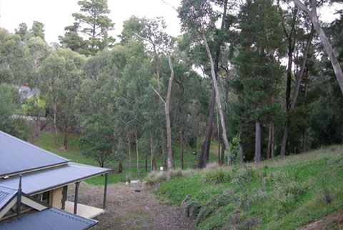josie court garden
