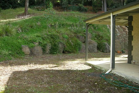 josie court garden