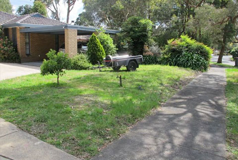 kyamba court garden