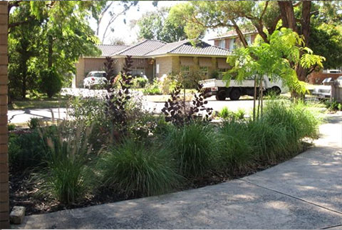kyamba court garden