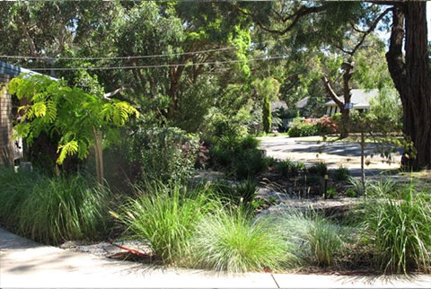 kyamba court garden